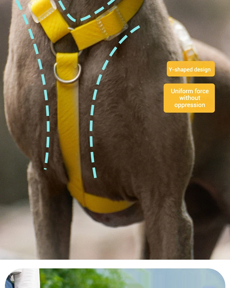 Waterproof Series Dog Collar Leash Harness Adjustable Collar Length Durable Small Dogs Medium Dogs Large Dogs Shiba Inu