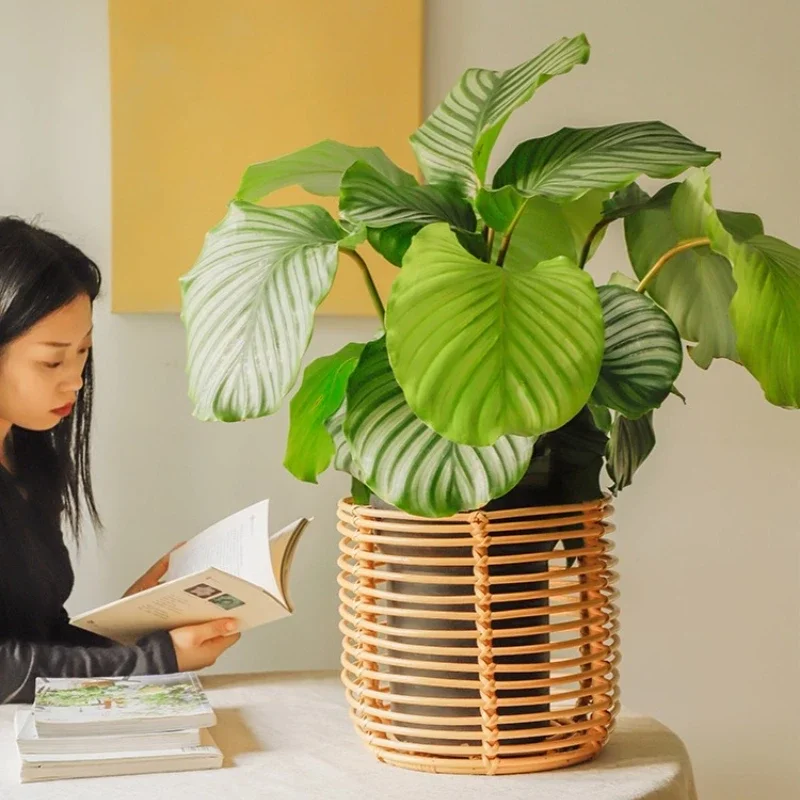 Minimalist Indoor Flower Shelf for Living Room Creative Floor Standing Flowerpot Holder Garden Decor Nordic Rattan Plant Stand - Image 3