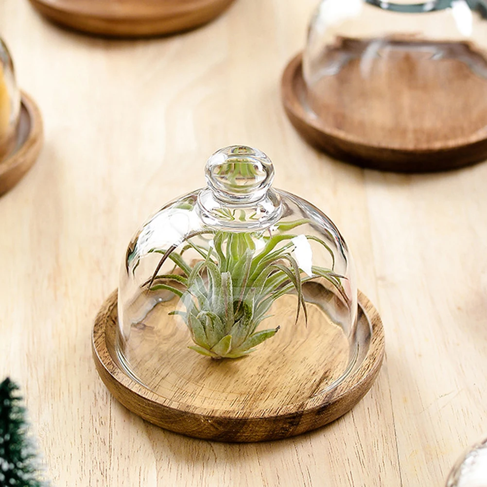 

2Sets Sweet Cake Stand with Glass Dome Premium Wood Mini Dessert Tray for Party Fruits Macaron Jewelry Display Wooden Cake Plate