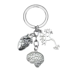 Medical Anatomy Keychain Brain Heart Nerve Cell Shaped Keychain Doctor Nurse Bag Keyring Jewelry Gift