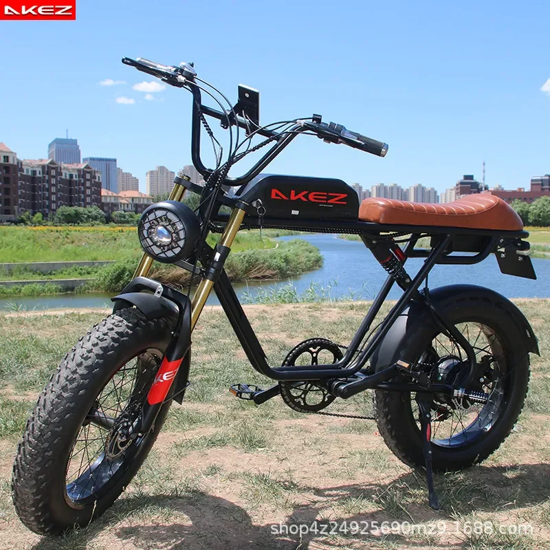 20 Inch Soft Tail Retro Off Road Mountain Bike Variable Speed Snow Assist Bicycle