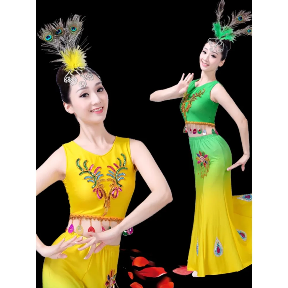 New Dai dance costumefishtail skirt performance costume gradient art test double shoulder peacock dance performance adult female