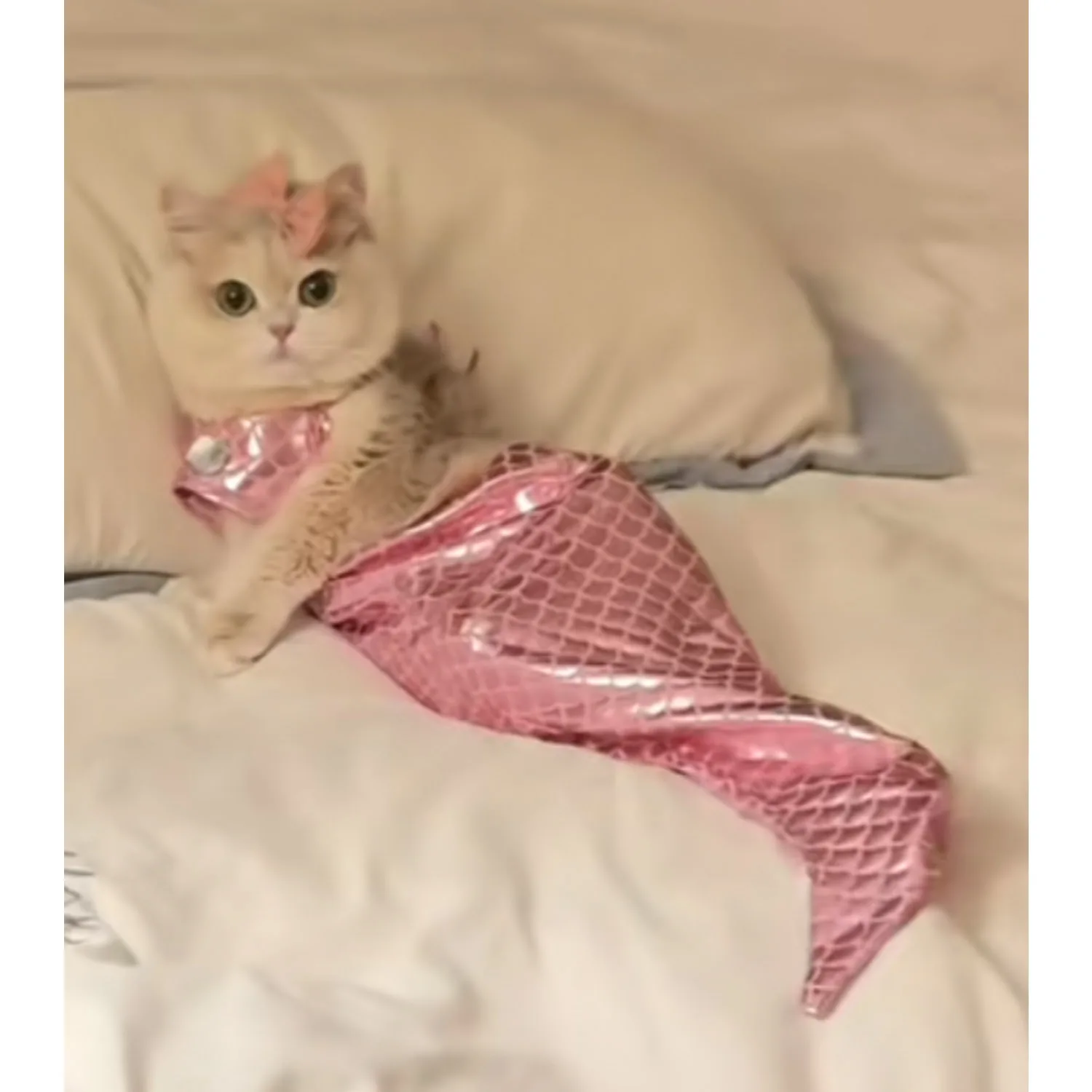 Cat Mermaid Pet Costume Funny Swimsuit Fish Tail Design Cute Bikini Dog Summer Pet Clothes Dog Halloween Dogs Dress