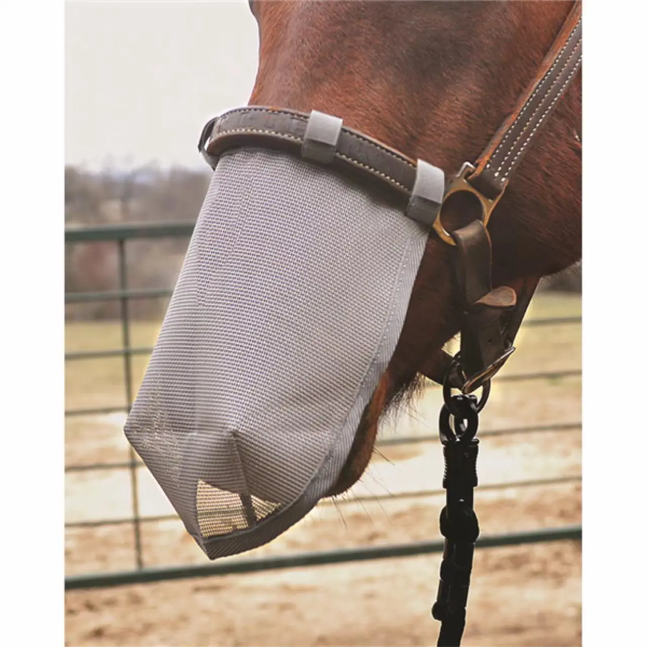 

Animal Nose Net Horse Mask Mesh Anti-mosquito Horse Fly Mask Nose Cover Protector Equestrian Available Horse Riding Equipment