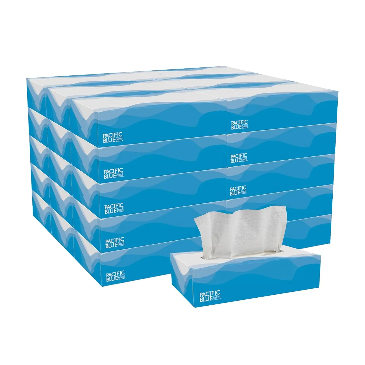 

Premium 2-Ply Facial Tissue, 100 Sheets per Box, 30 Boxes Bulk Case - Soft & Strong for Daily Use