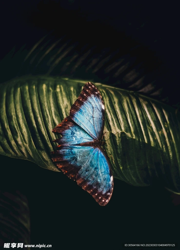 

Радиоуправляемая машинка WPL C24 Upgrade C24-1 1:16, полноприводный внедорожный мини-автомобиль, готовый комплект (RTR), электрический багги-краулер, радиоуправляемая модель