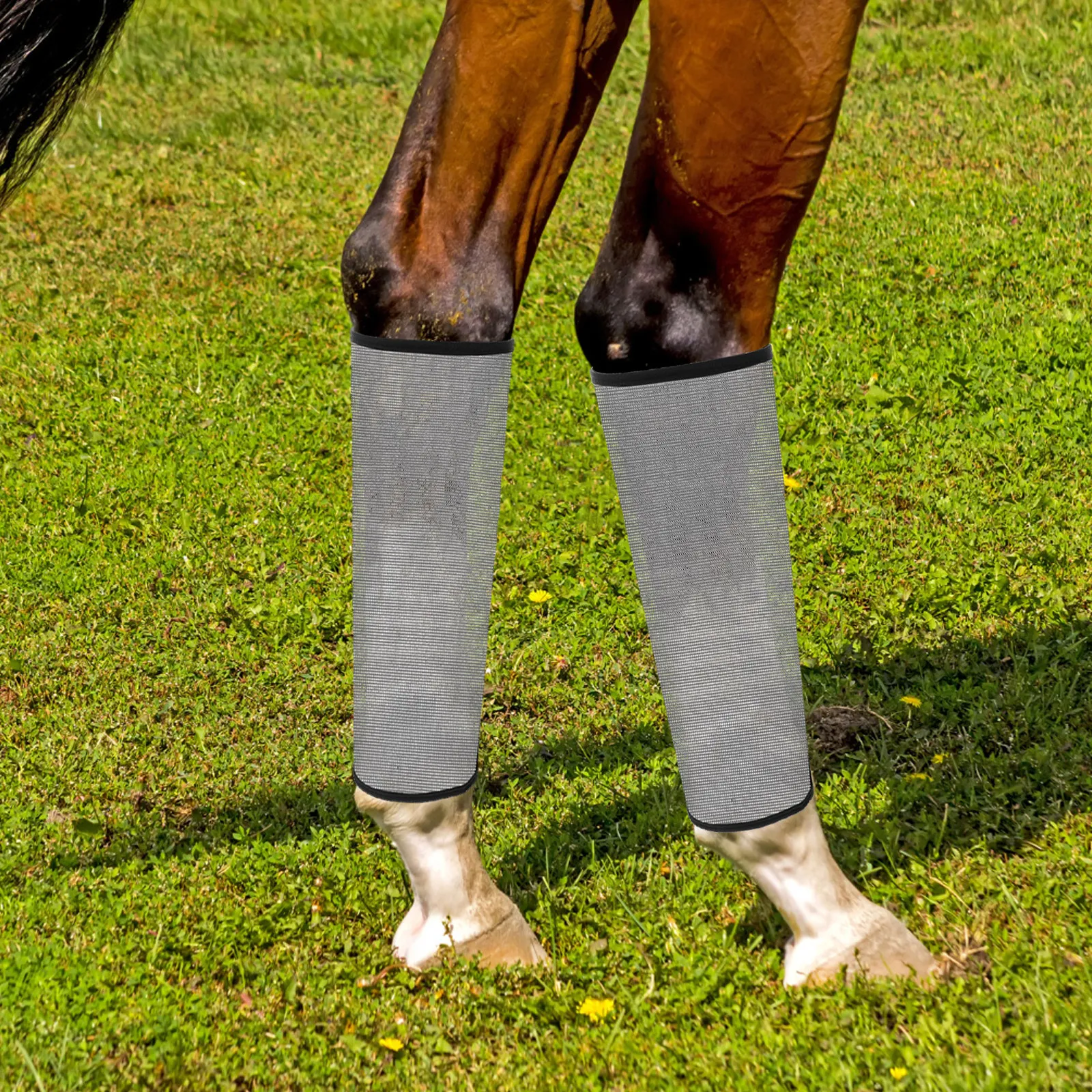 4pcs-washable-abrasionresistant-colored-mesh-horse-leg-guards-soft-comfortable-fly-boots-for-equine-mosquito-uv-protection-trail