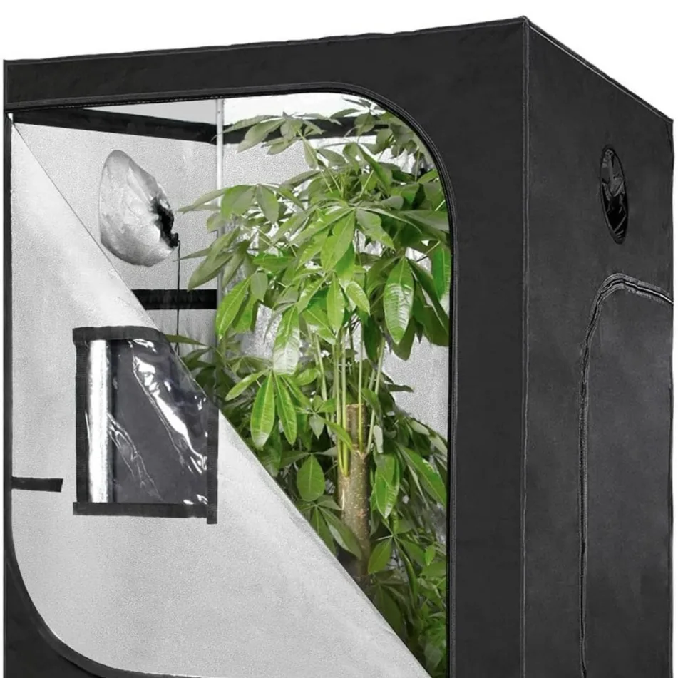 

Indoor Plant Grow Tent Hydroponic Greenhouse Plant Growing Dark Room for Seedling Germination Growth