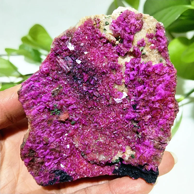 Natural Stone Cobaltocalcite Pink  Crystal Raw Rock Mineral Specimen Room Decor Feng Shui Ornaments Chakras Reiki Healing Stones