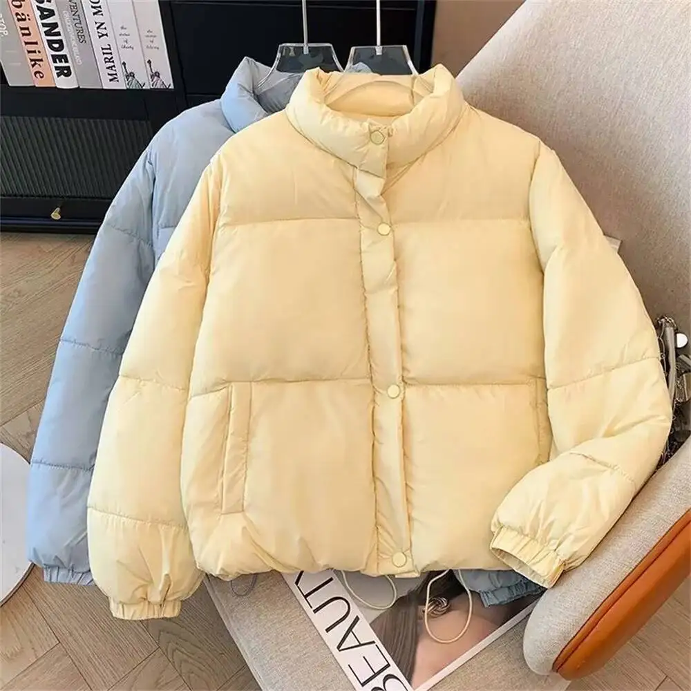 موضة جديدة لخريف وشتاء 2025 بأكمام طويلة وياقة ثابتة سترات متينة ملابس نسائية كورية دافئة تناسب الجميع سترات بسحاب #6