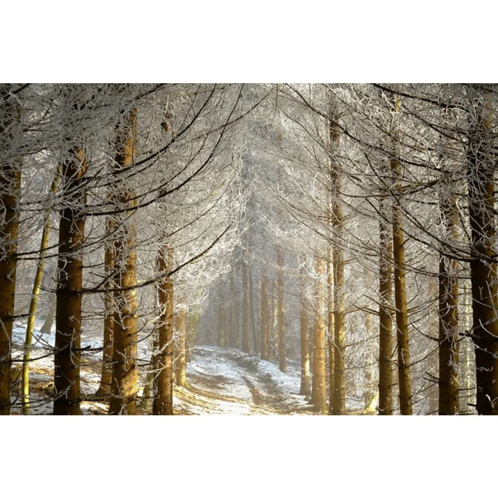 

Rocket - RC Supersonic 540 Sensored Brushless Motor 4.5T-21.5T & 120A ESC Combo for 1/10 RC Car Racing Drift High - Speed