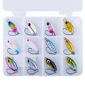 12pcs