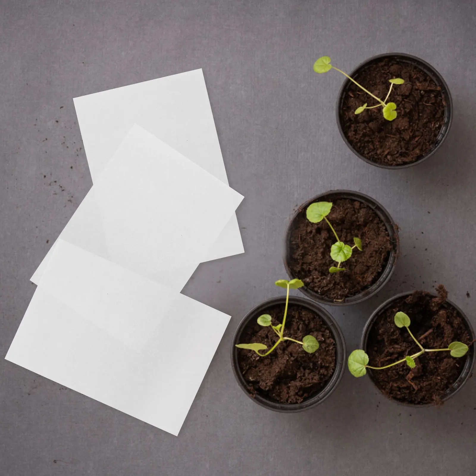 

100 pcs Germinating Paper Seedling Growing Sheets Leak-proof Moisturizing Durable Planting Paper for Sprouts Soya Bean Mung Bean