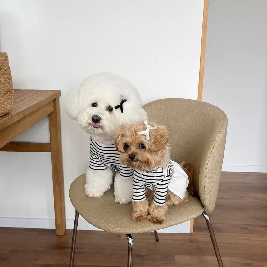 

Pet Black Striped Dress Summer Puppy Dress Bichon Frise Pretty Couple Teddy Anti-Shedding Vests Pet Supplies