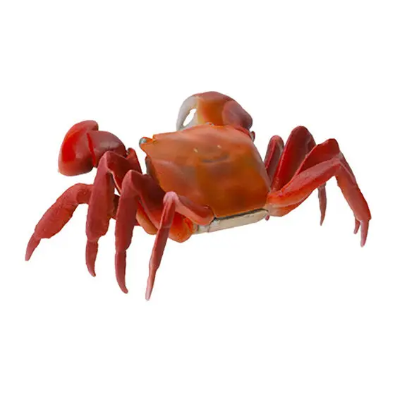 BANDAI Biological Atlas Crab Squilla Catching Crab Gashapon Anime Action Figure Collect Model Toys