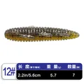 2.2INCH C-12