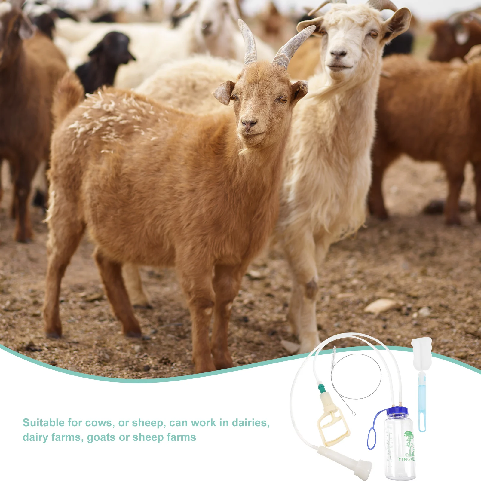 

Manual Milking Machine Cow Sheep Handheld Milker Machines for Dairy Cows Portable