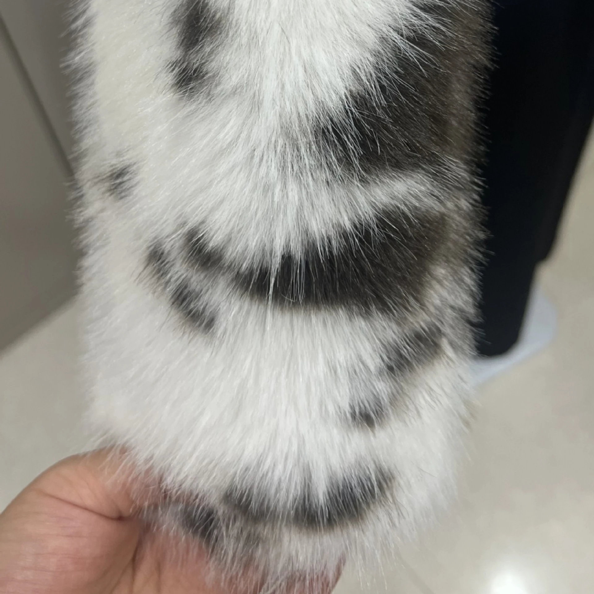 Giacca corta in pelliccia di volpe sintetica con cerniera Cappotto in peluche con stampa animalier con risvolto Giacche soffici da donna allentate alla moda Cappotto peloso invernale con cerniera