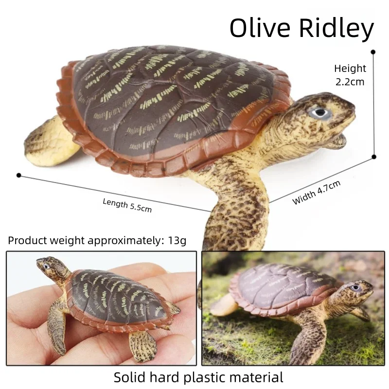 Oenux Simulations-Schildkröten-Set: Alligator, Galapagos-Schildkröte, Chinesische Weichschildkröte Figuren und Puppen – Detail 31