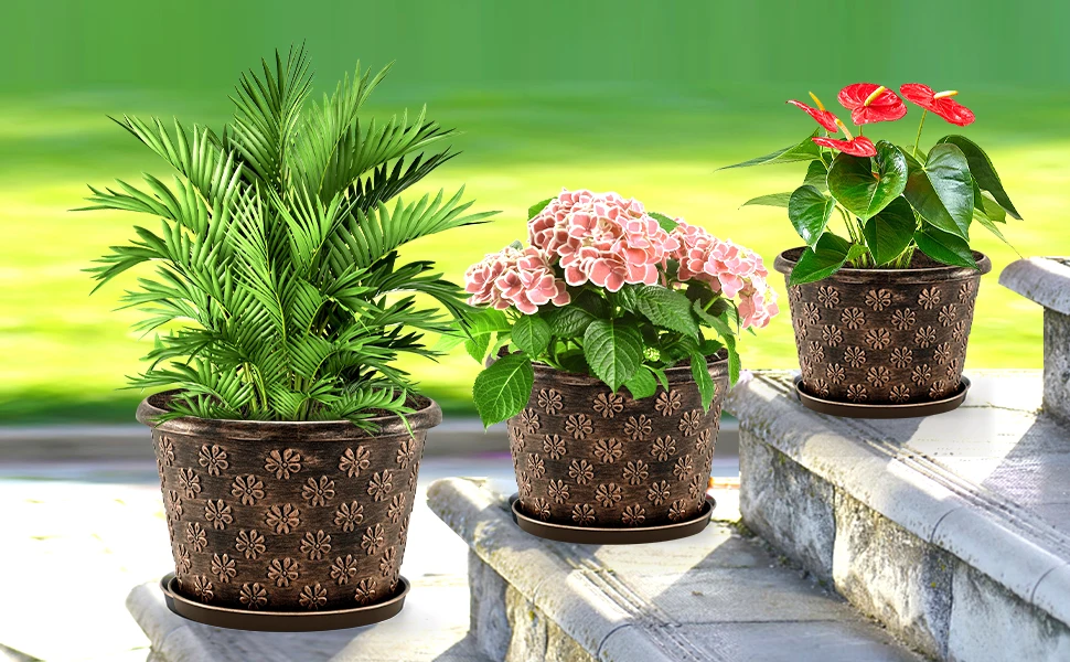 plant pots outdoor