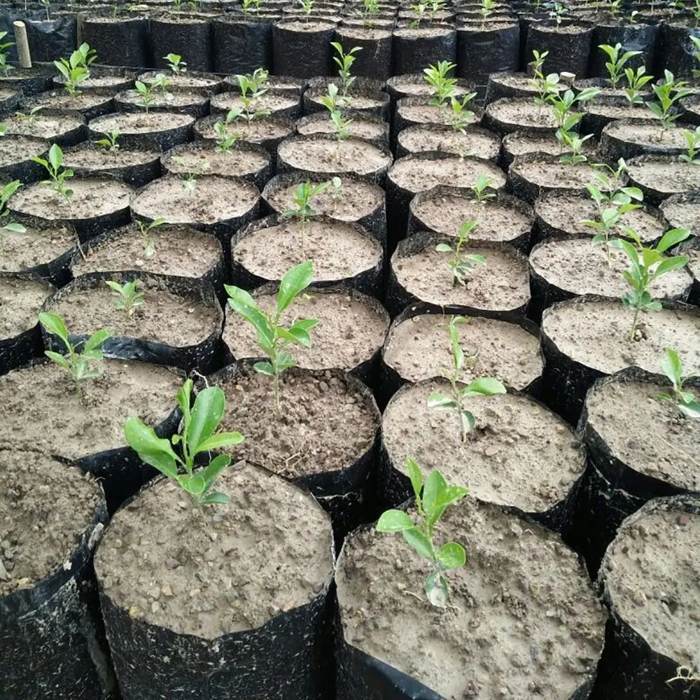 أصيص زراعة نباتات الحضانة ، كيس زراعة ، بلاستيك بولي إيثيلين مع فتحة جيدة التهوية ، كيس نمو النباتات ، سميك ، كيس شتلات أسود ،