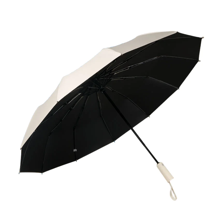 12 Bones Windproof Double Layer Resistant Umbrella Fully Automatic Rain Men Women Luxury Business Male Large Umbrella