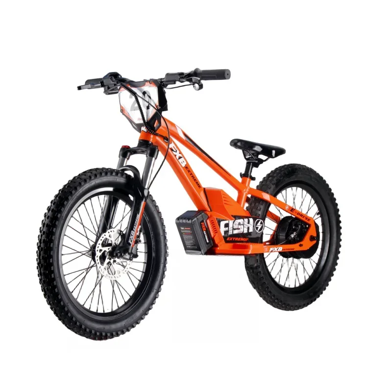 2024 Hot selling high quality two wheels self balancing bike electric balance bike for kids