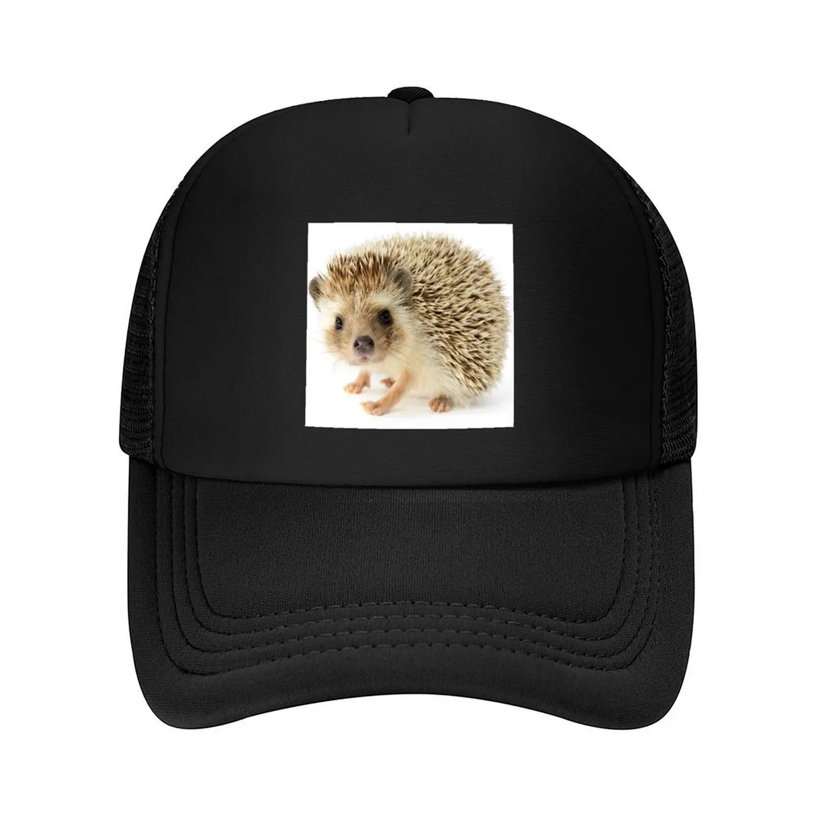 

Cute Baby Hedgehog Baseball Cap funny hat Anime Hat winter hats for men Christmas Hat Women Beach Fashion Men's