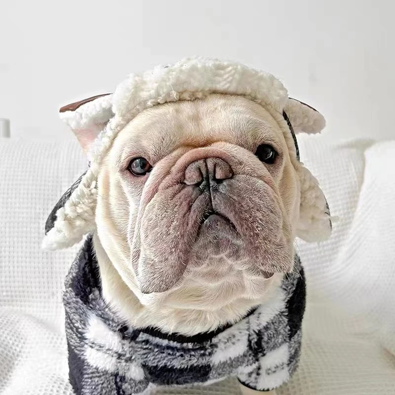 Winter Dog Hat Pug French Bulldog Dog Caps Warm Pet Costume Dropshipping Pet Products Dog Supplies