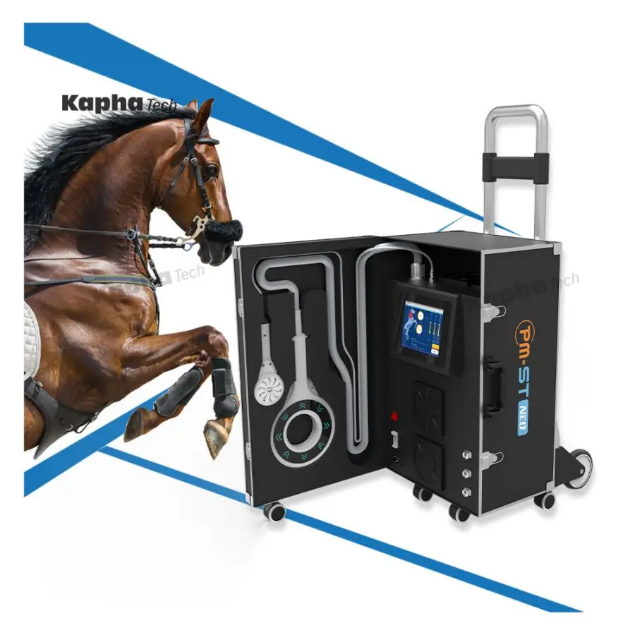 

PEMF Physio Magneto VET Machine for Horse Treatment Therapies Rehabilitating