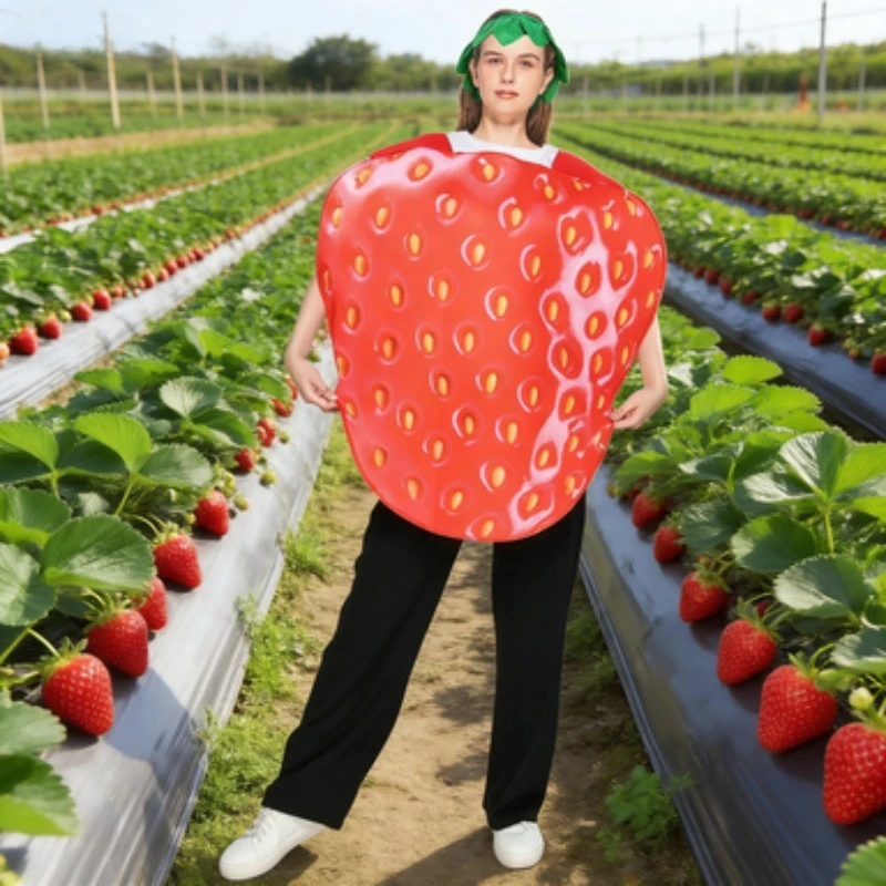 

Костюм для взрослых на Хэллоуин из серии Fun Fruit: Клубничный наряд для косплея