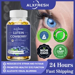Lutein and Bilberry Capsules Relieve Blurred Vision and Dry Eyes Reduce Eye Fatigue and Improve Visual Function for Healthy eyes