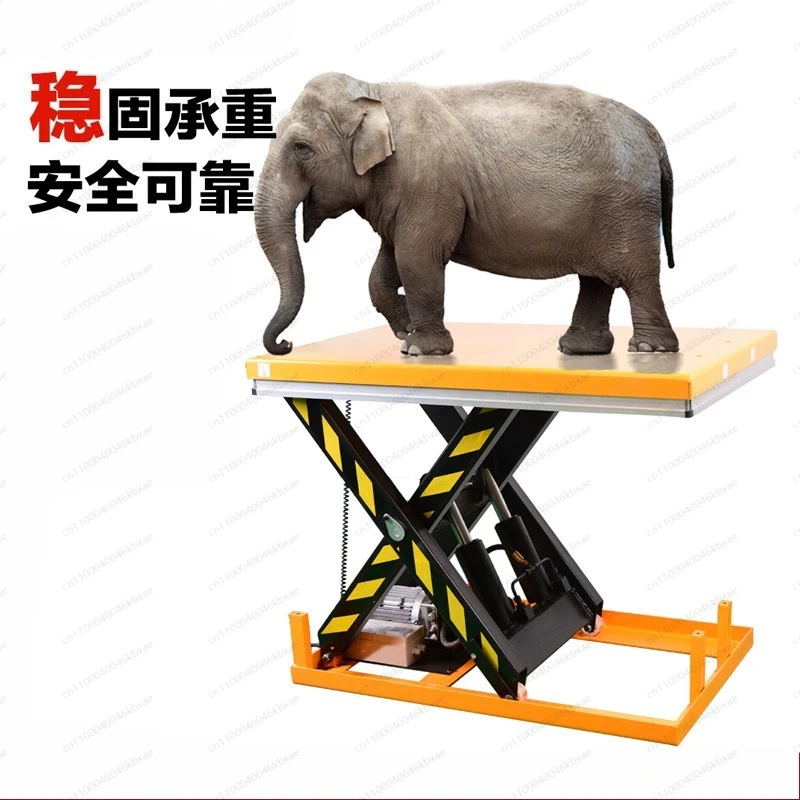 

Fixed Hydraulic Lift Platform Electric Lift