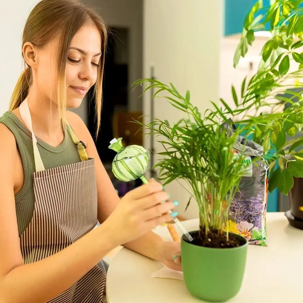 الصبار الصبار الذاتي سقي زارع التلقائي لطيف التلقائي سقي النباتات لمبات الزجاج وعاء مياه النبات مصابيح زجاجية داخلي #1