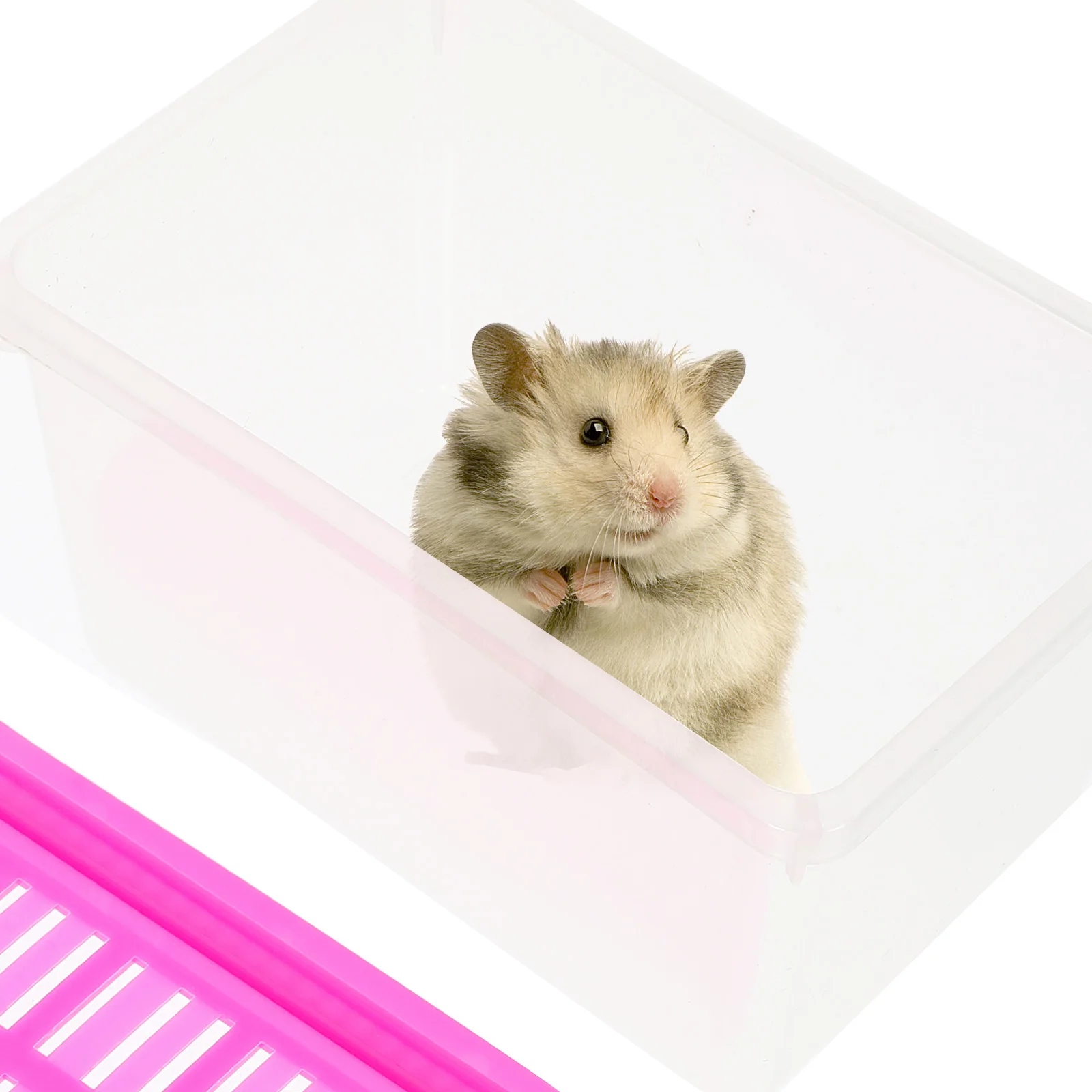 

Portable Fish Tank Plastic Aquarium Handheld Terrarium Pet Transport Box for Turtle Hamster Container Transparent Reptile Tank