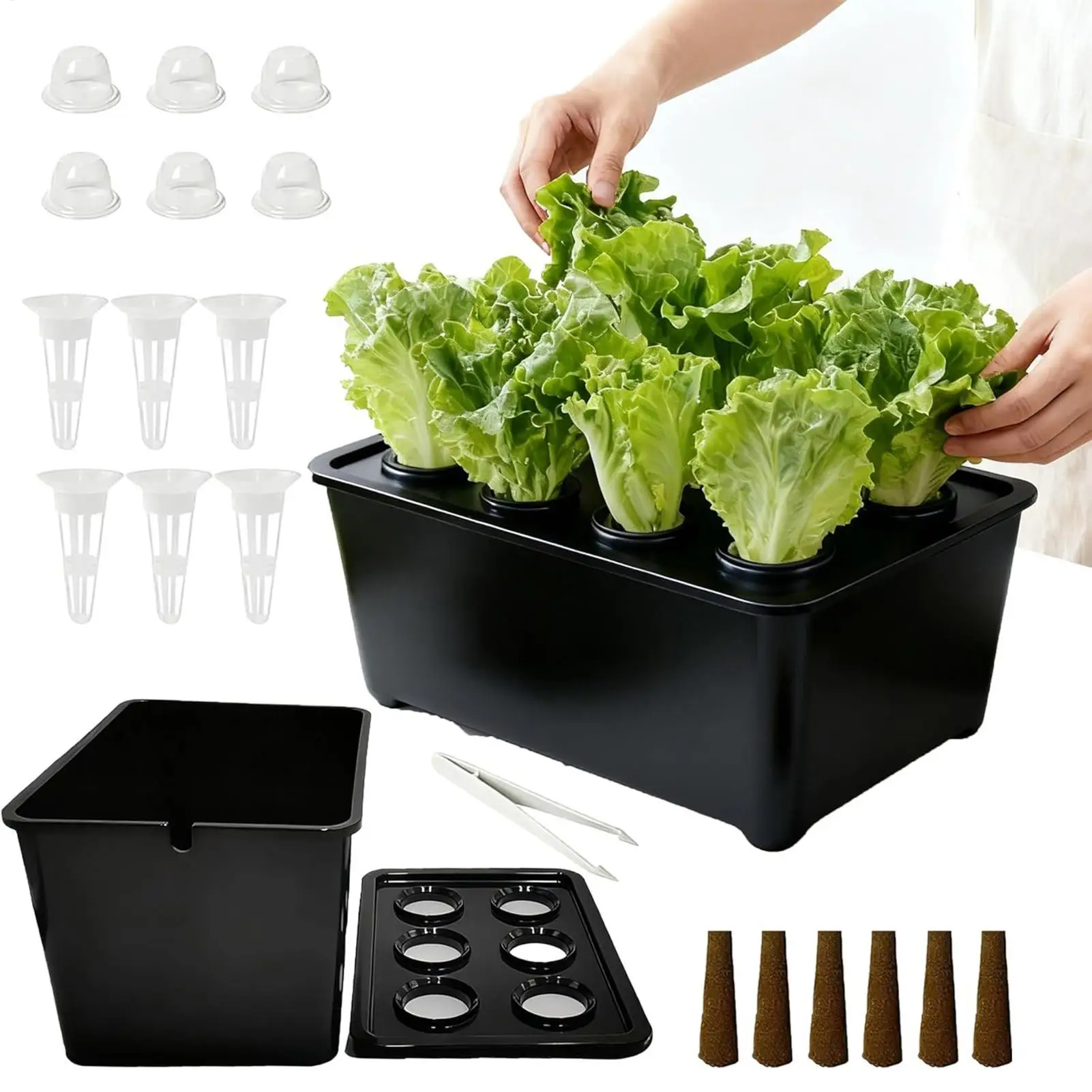 Kit de plantio hidropônico interno Caixa completa de mudas para cultivo de alface, flores na varanda, em apartamentos e hotéis