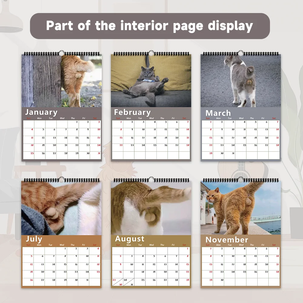 قطعة واحدة من تقويم الحائط المضحك على شكل قطة - موضوع القطط الأليفة، 12 تصميمًا مختلفًا، مناسب كهدية لأعياد الميلاد وعيد الميلاد ورأس السنة الجديدة #5