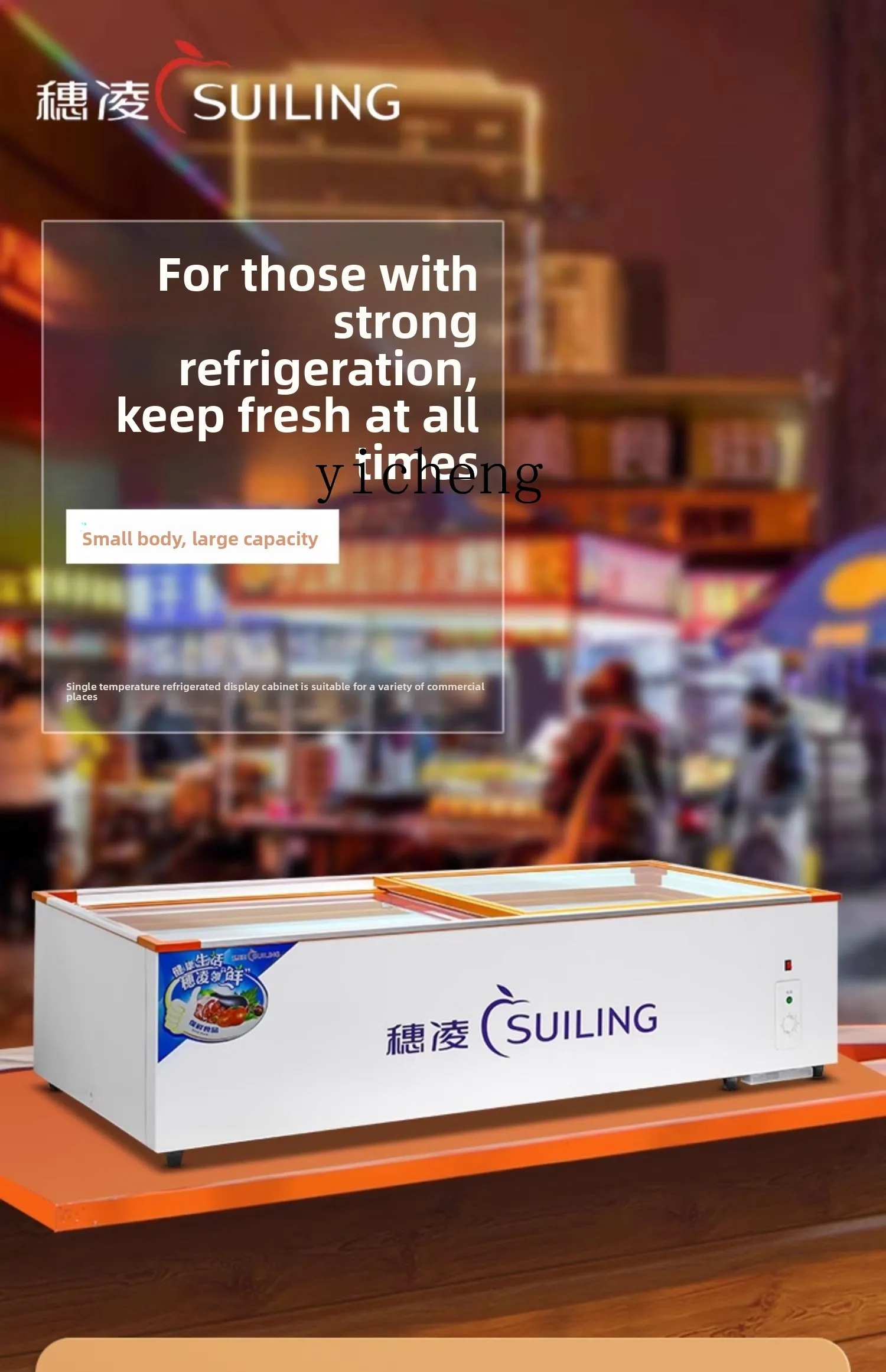 Vetrina refrigerata per frigorifero con batteria mobile per triciclo congelato per barbecue congelatore Zz