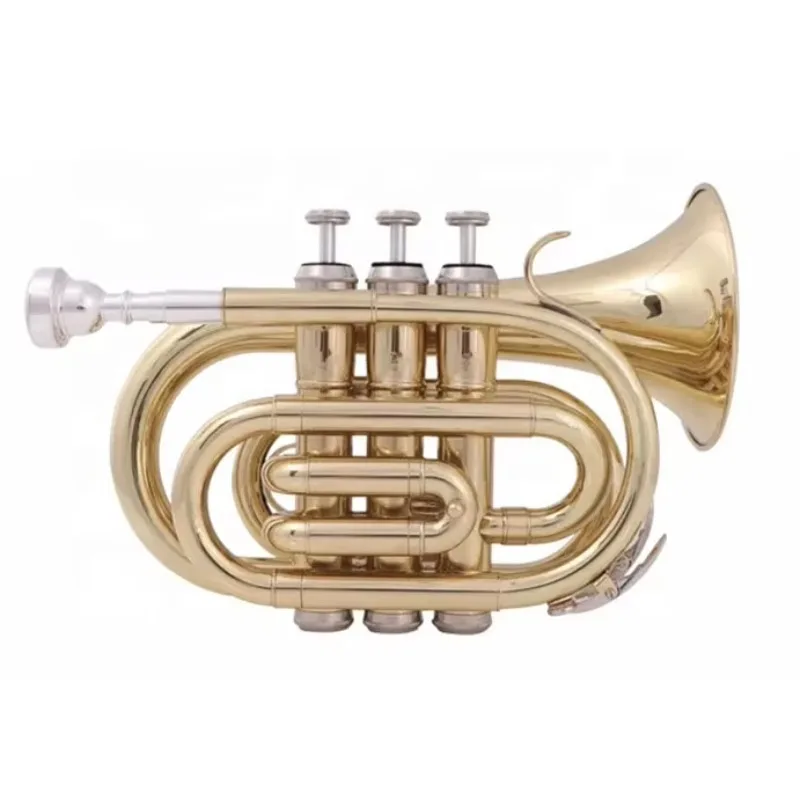 Hot Selling QST-3102 Durable BB Flat Gold Lacquer Brass Trumpet for Beginner
