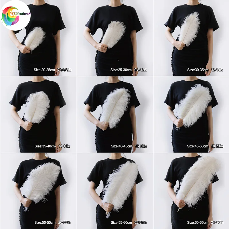 10PCS/lot Multicolor Ostrich Feathers Bulk 15-50CM Natural Plumes For Handicraft Party Table Centerpieces Decor Carnival Plumas