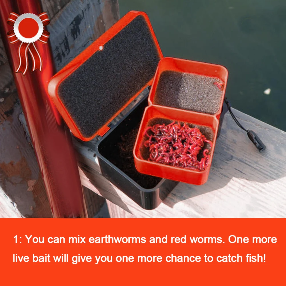 Double-Layer Live B…