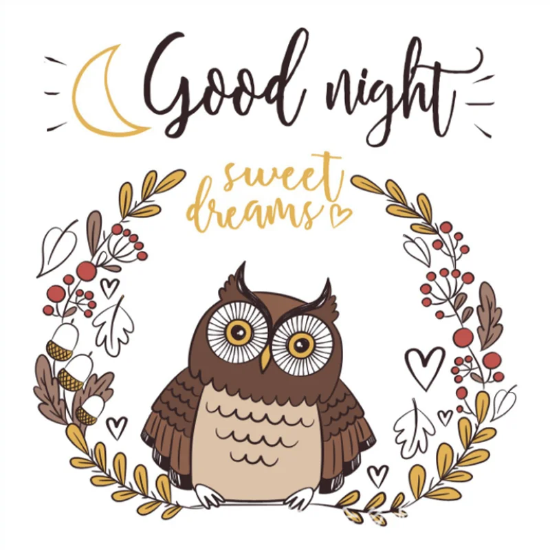 Good Night Owl Transparent Silicone Finished Stamp DIY Scrapbook Rubber Coloring Embossed Diary Decor Template Reusable 10*10cm