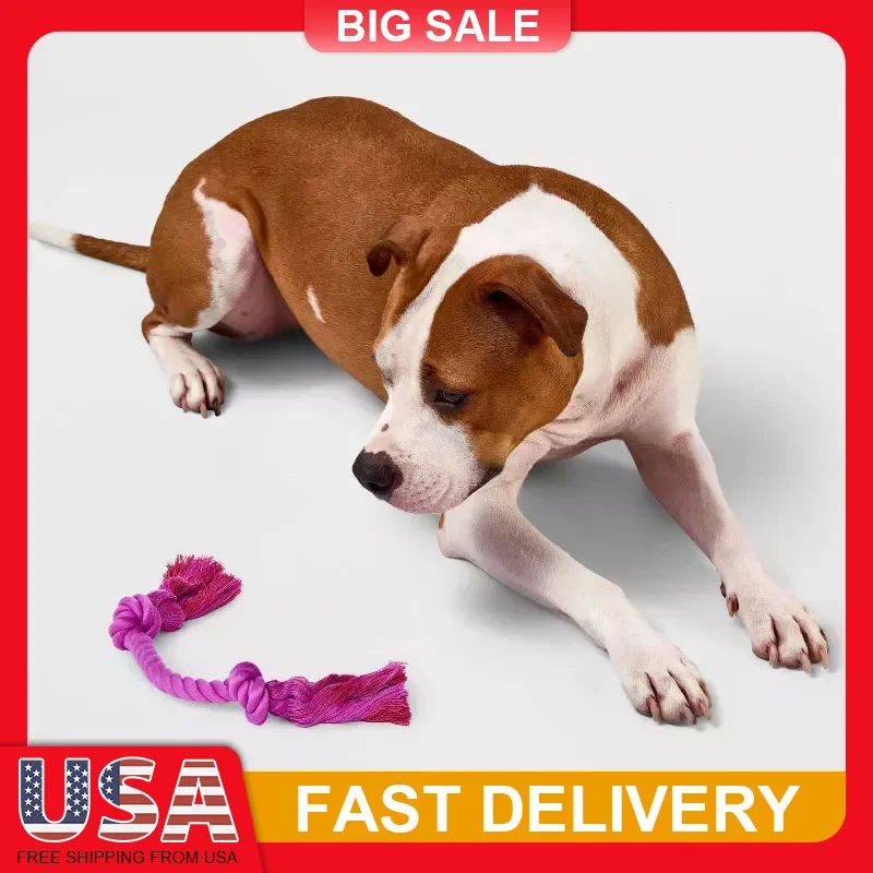 

10 Inch Mini Dog Toy for Dogs Knotted Rope with Tassels Perfect Tug of War Fetch Play Aggressive Chewer Puppy Toys