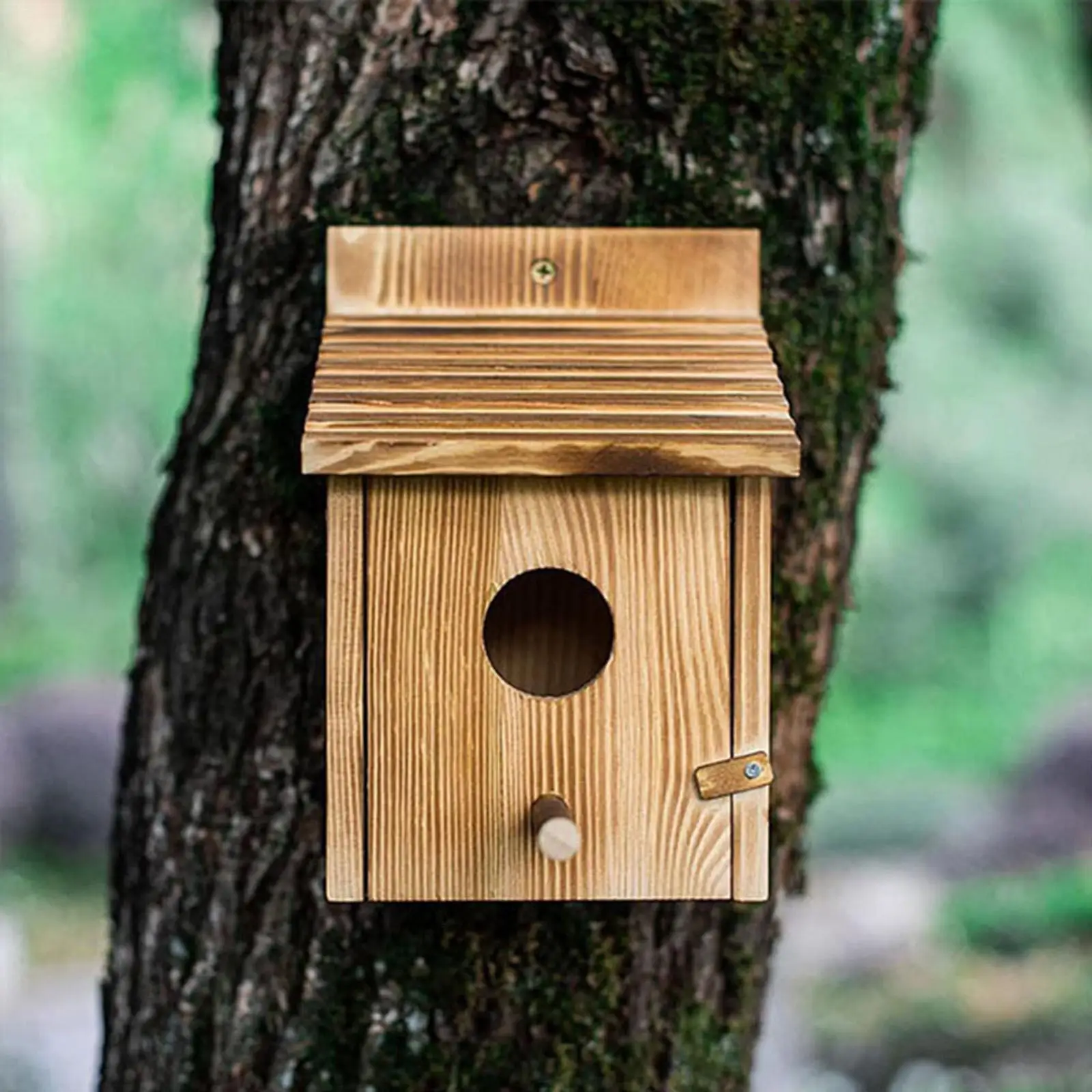 Casa nido y comedero para pájaros – Madera para exterior - imagen 5