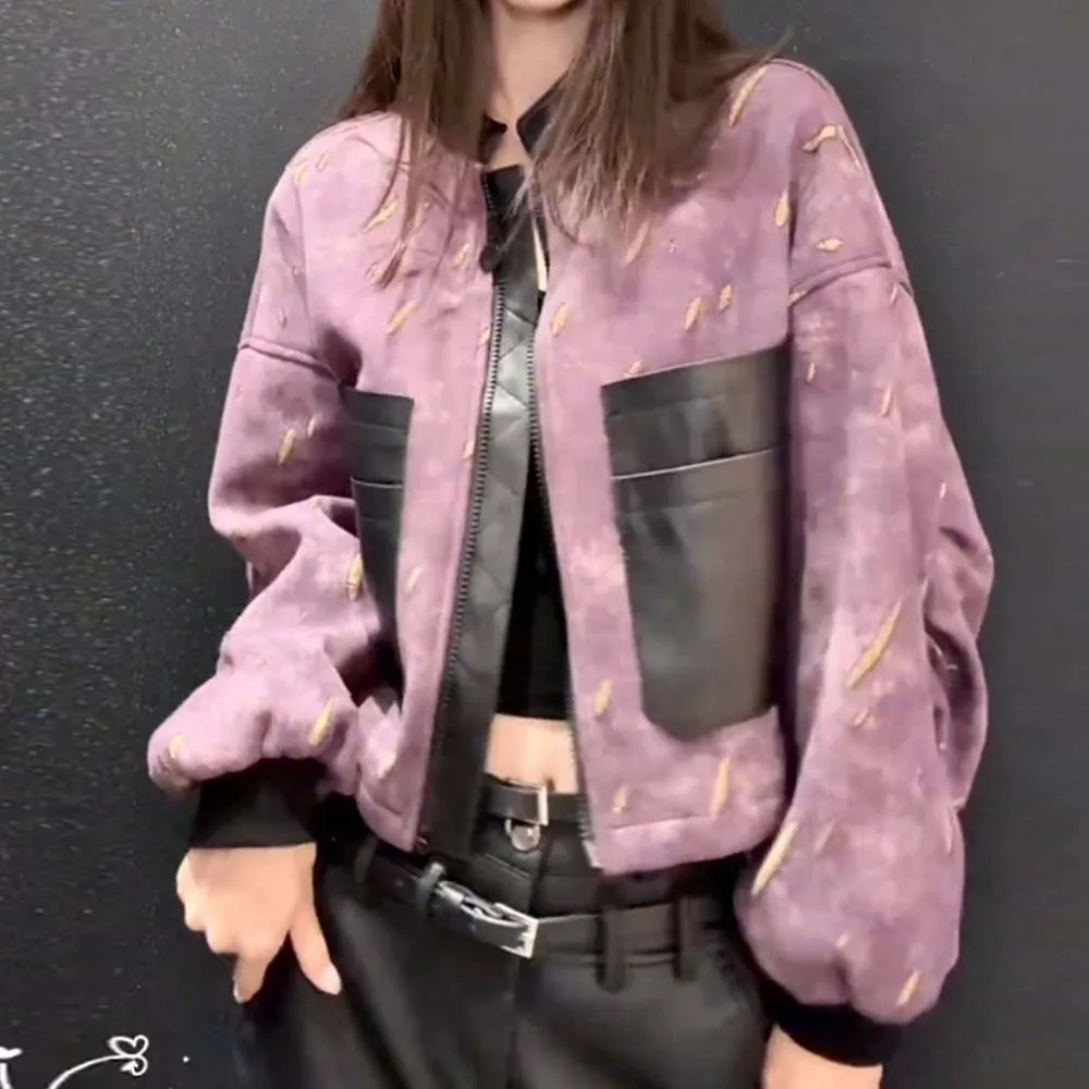2026 spring and autumn new fashion small short purple versatile stand-up collar baseball jersey niche jacket