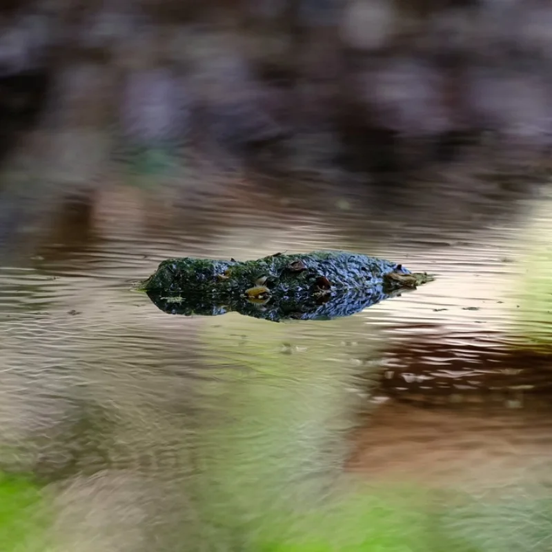 

115 мм обод колеса и шины RC шина 17 мм шестигранник для деталей радиоуправляемого автомобиля внедорожный багги 1/8 ARRMA TYPHON KYOSHO HSP обновленные детали