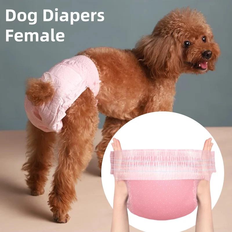 10pcs/Bag Disposable Dog Diapers Female Male Super Absorption Physiological Cat Pet Leakproof Nappies Pants Breathable 강아지 옷