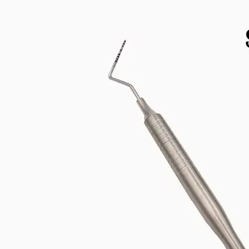 

1PC Dental Tool Products 15/10 Dentist Teeth Clean Hygiene Explorer Probe hook Pick Dentist Stainless Steel Double Ends