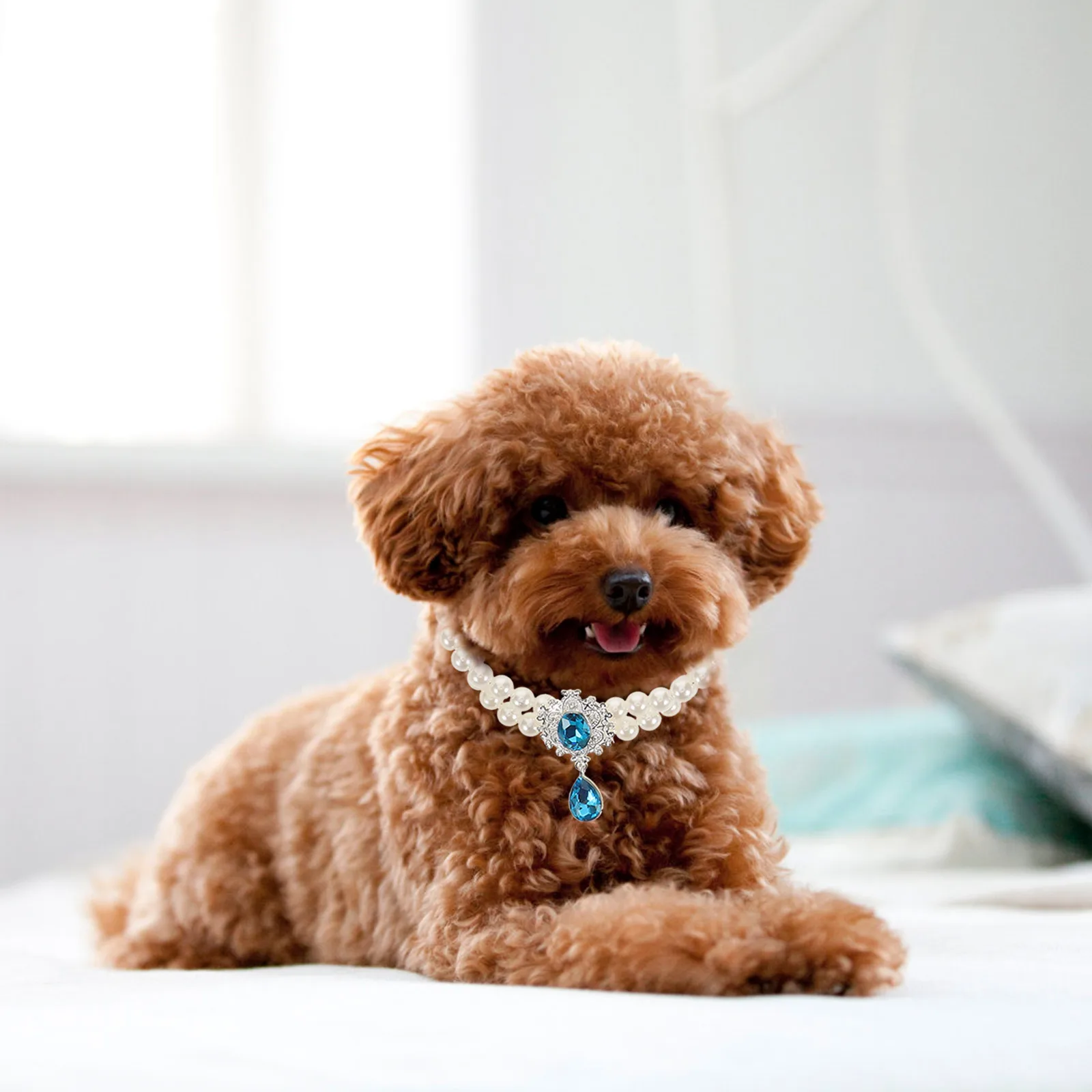 

3 Pcs Pet Diamond Necklace Cute Adjustable Collar Cat for Cats Only Jewelry The Dog