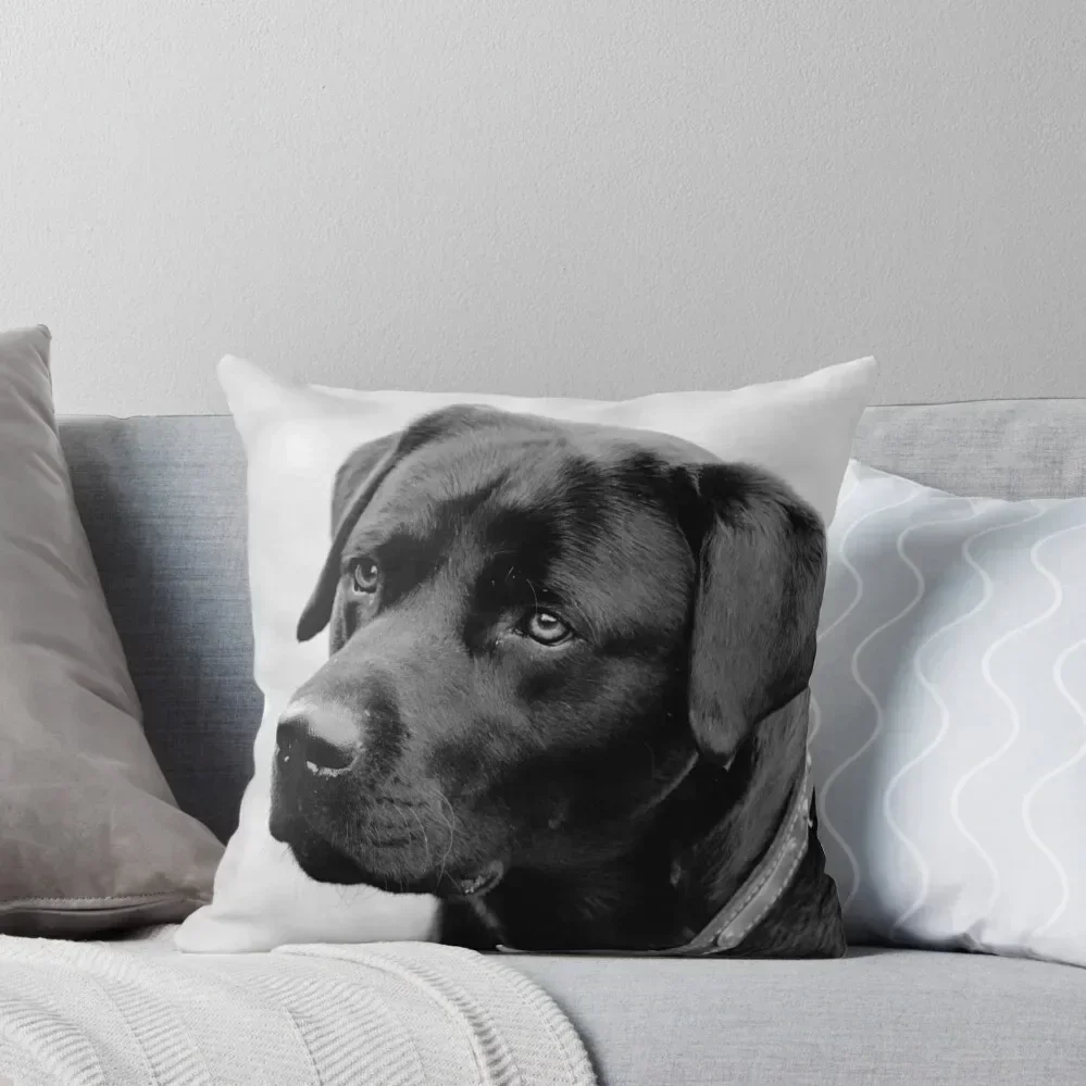 Shane, Black Labrador Throw Pillow Sofas Covers Couch Cushions pillow